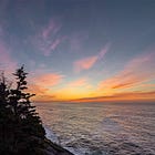 As a Nation Falters, the Songbirds Fly