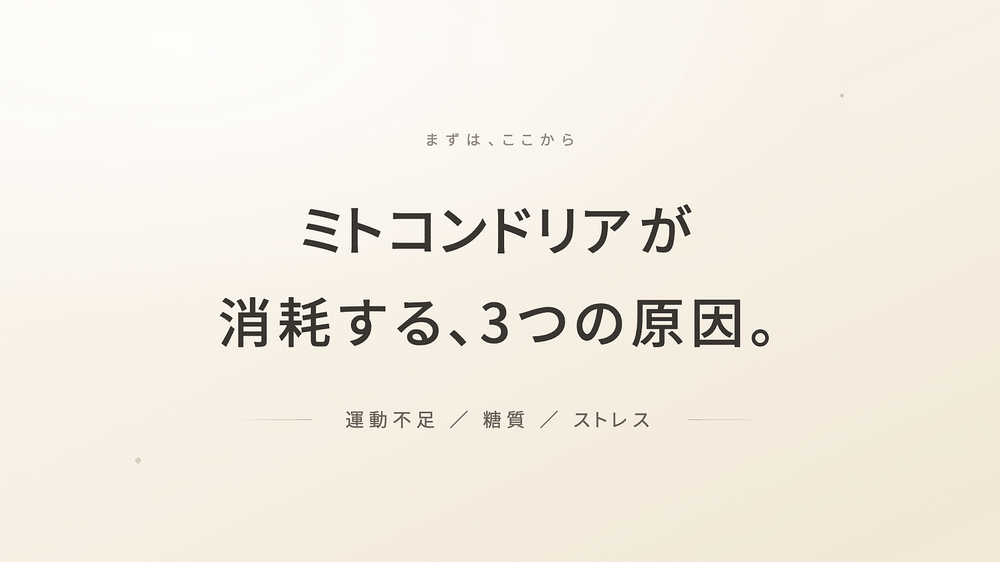 時間栄養学_サーカディアンリズム_クロノニュートリション_遺伝子 | 精密栄養学