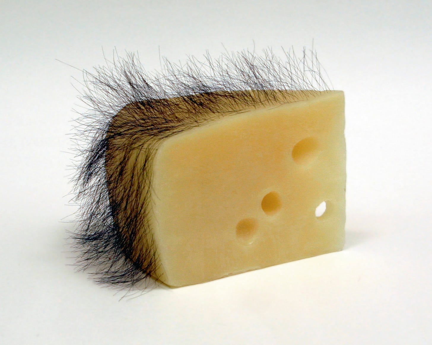 Artwork by Robert Gober, , dated 1992–1993