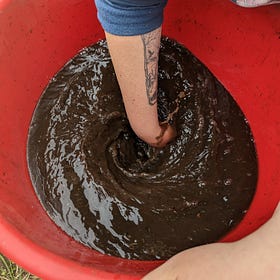 When Should I Spray Biodynamic Preparations?