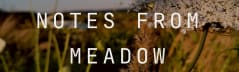 Notes from Meadow