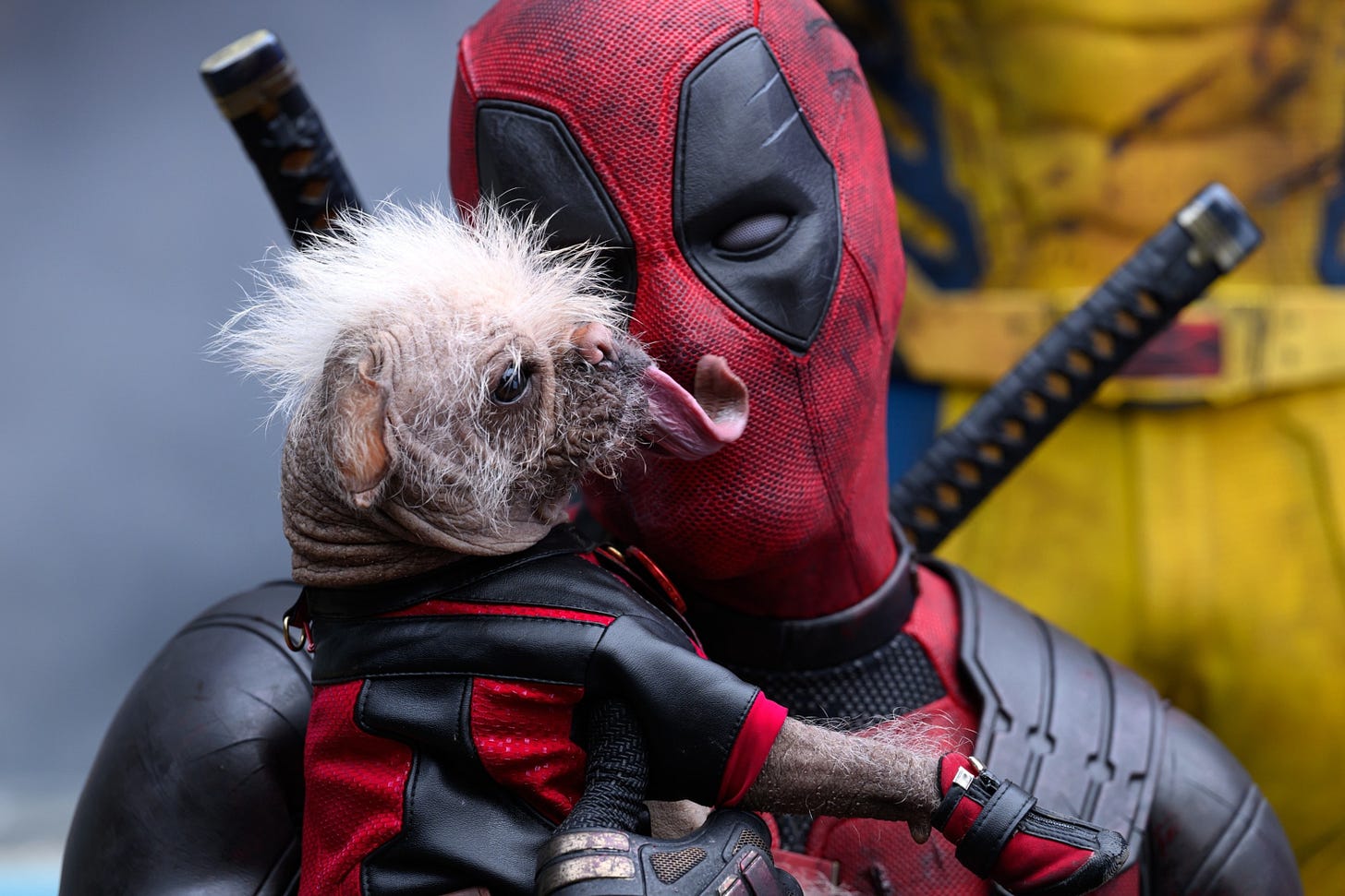 Deadpool & Wolverine': Everything you need to know before seeing the movie  - ABC News