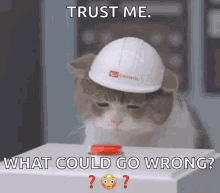 a cat wearing a hard hat is pressing a button with the words trust me what could go wrong below it a cat wearing a hard hat is pressing a button with the words trust me what could go wrong below it