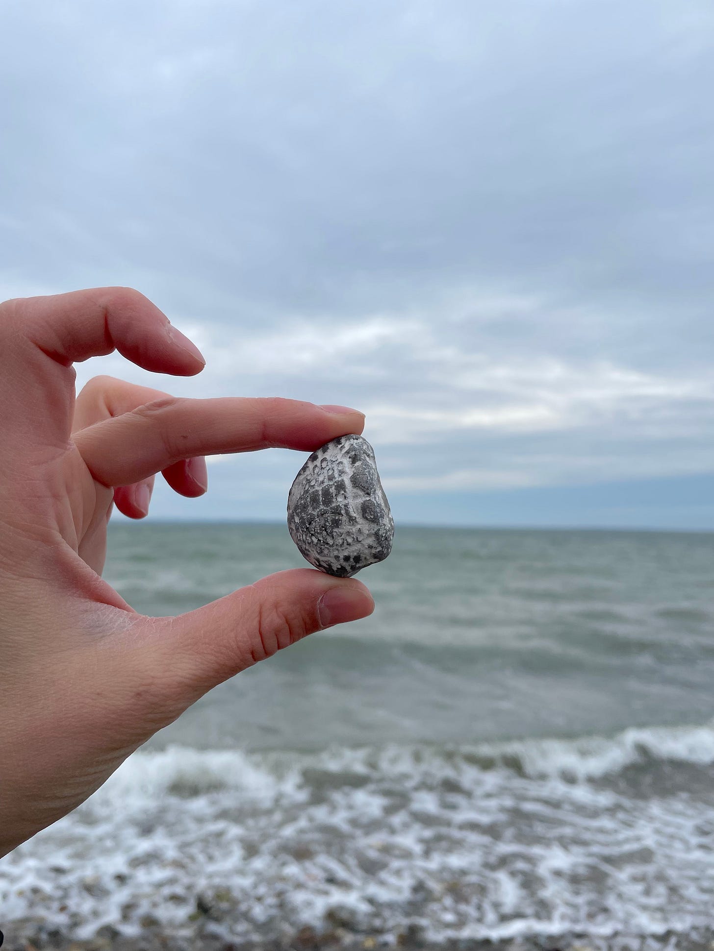 Holding up a sea urchin to the sky