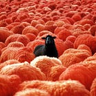 Substack: quello che nessuno ti dice