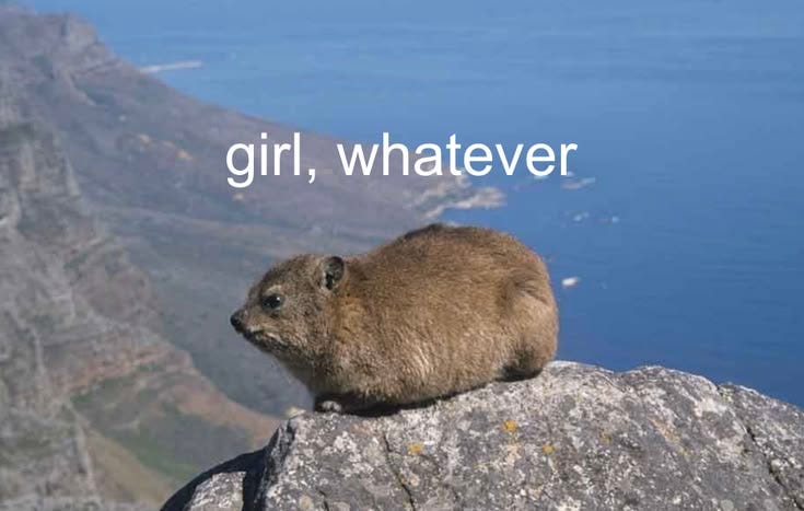 Imagen del Story Pin