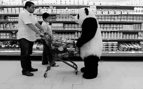 The cart at the grocery store.