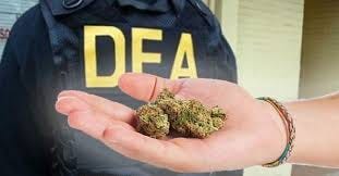 Deschedule Marijuana ...