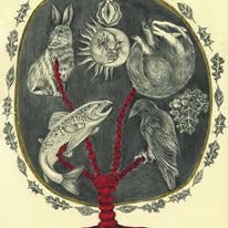 No photo description available.