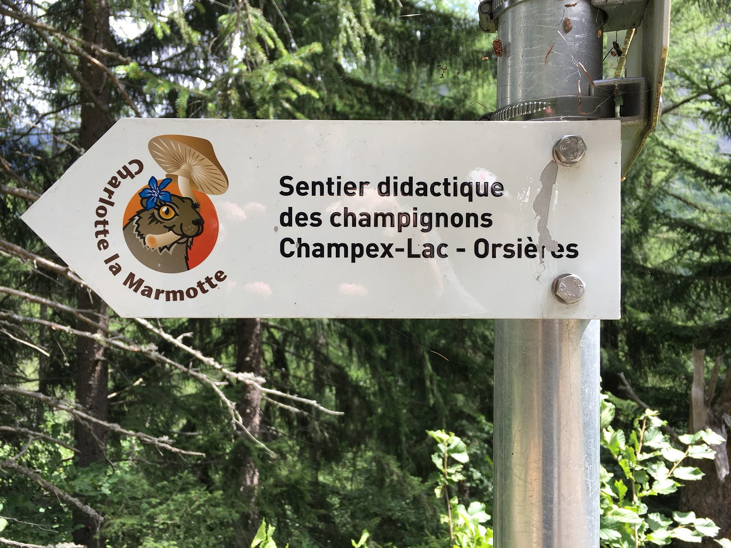 Charlotte la Marmotte, the local spokesmarmot