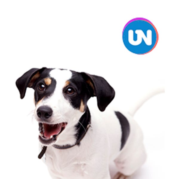 Artwork for Tu Mascota