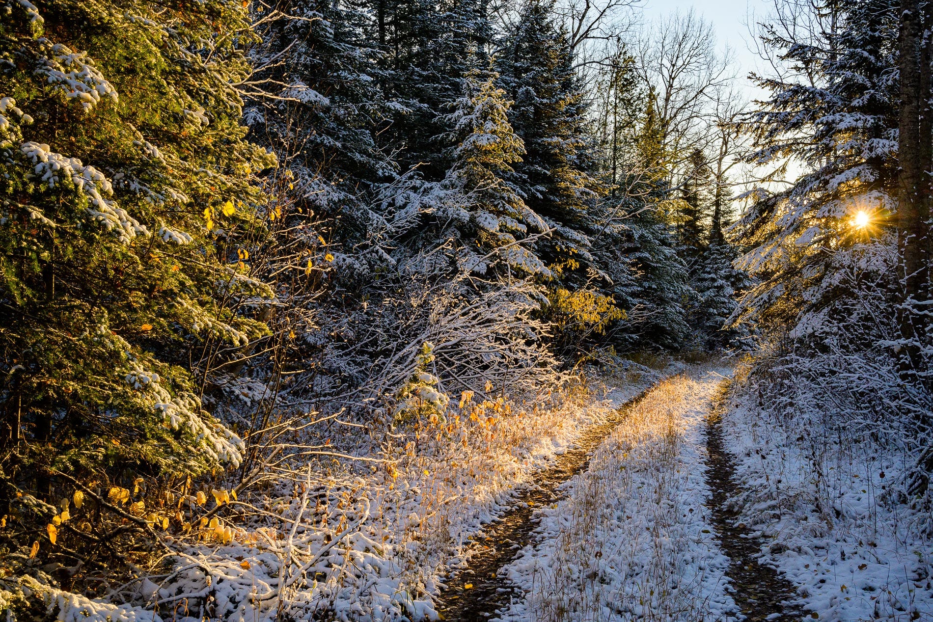 Photos of the Transition Between Fall and Winter