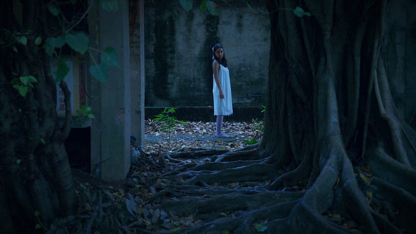 Ghostbirth 2: The Test Shoot