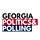 Georgia Politics & Polling