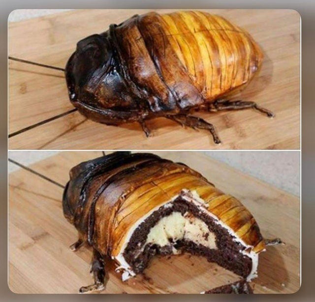 A photo of what looks like some kind of cockroach bug thing. Second photo is the bug cut open to show it's cake...