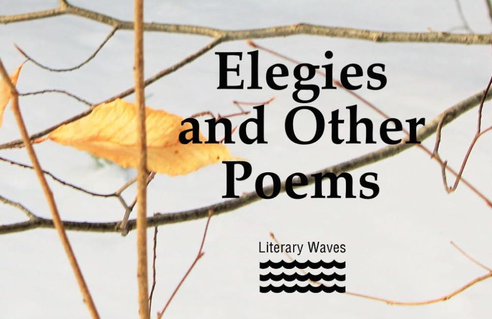 Elegies and Other Poems by Flavia Cosma