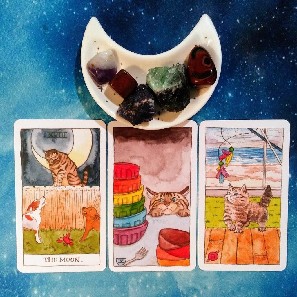 A Message from the Universe ~ Too Good to be True? Cat Tarot Cards by Jenna Huerta, Megan Lynn Kott, and Julia Smillie