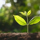 Why I Created Grace & Growth (And How It Can Help You)