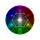 The Alchemy of Color
