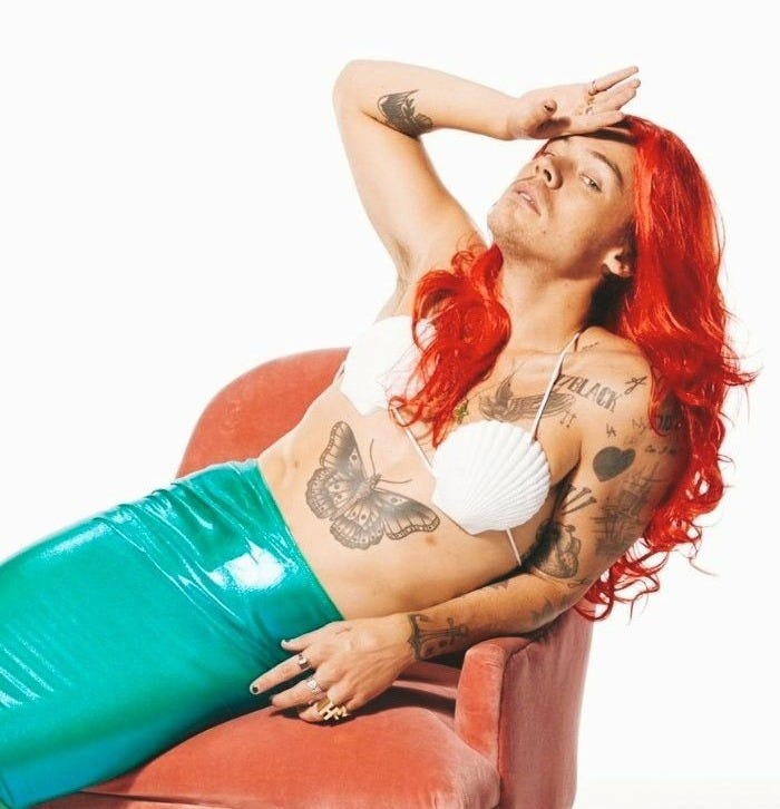 Harry the little marmaid