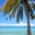 TexBelizeGirl's avatar