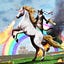 User's avatar