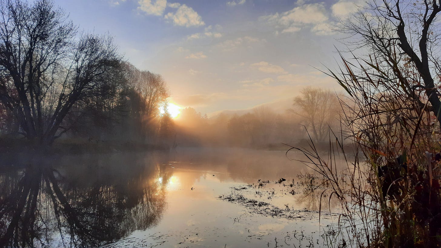 The sun shines through light fog over the Saranac River, with trees with no leaves lining the banks and dead grass in the foreground The sun shines through light fog over the Saranac River, with trees with no leaves lining the banks and dead grass in the foreground