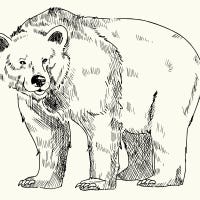 Artwork for The Link Drop