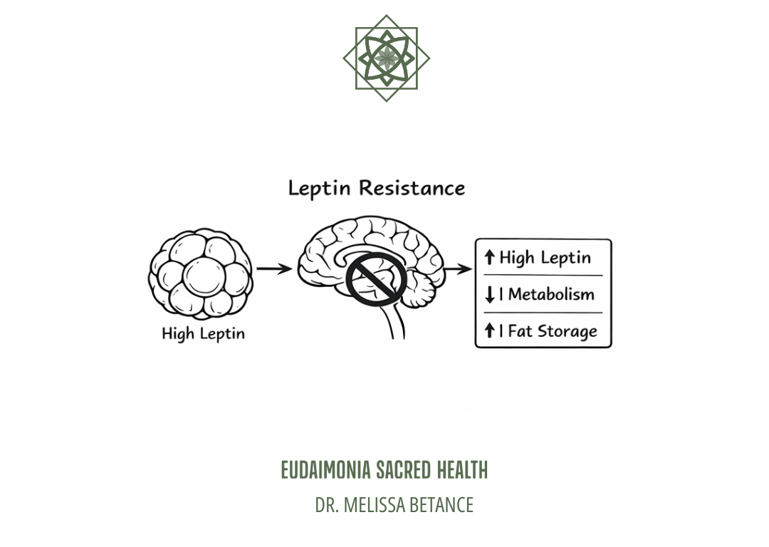 Hunger Dysfunction Hunger science explained. Leptin Resistance vs. Ghrelin Dysfunction