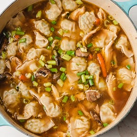 30 Minute Wonton Chicken Soup