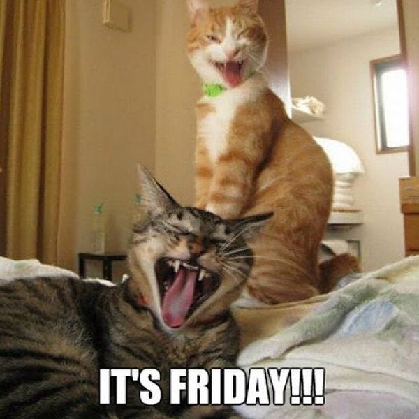 80 It's Friday Memes in 2019