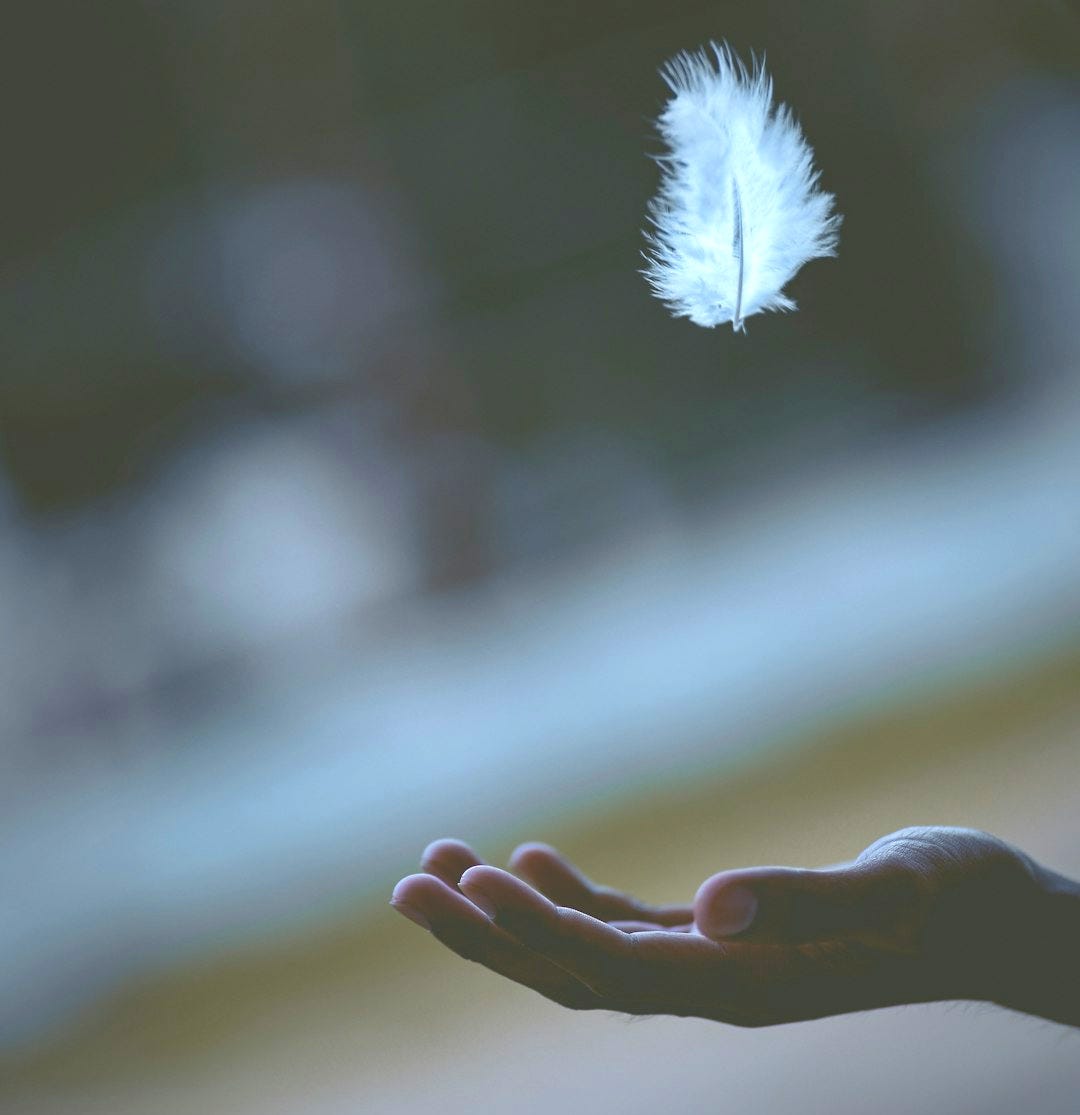 shallow focus photography of white feather dropping in person's hand