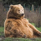 A Simple, Low-Risk Investing Strategy to Beat the Market