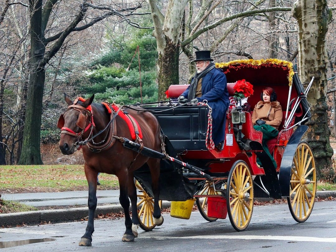 a horse drawn carriage traveling down a street