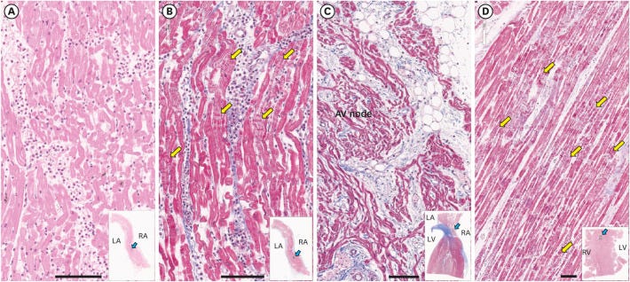 jkms-36-e286-g001 jkms-36-e286-g001
