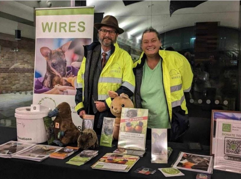 wires volunteers in katoomba