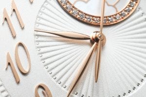 Vacheron Constantin Égérie close up macro