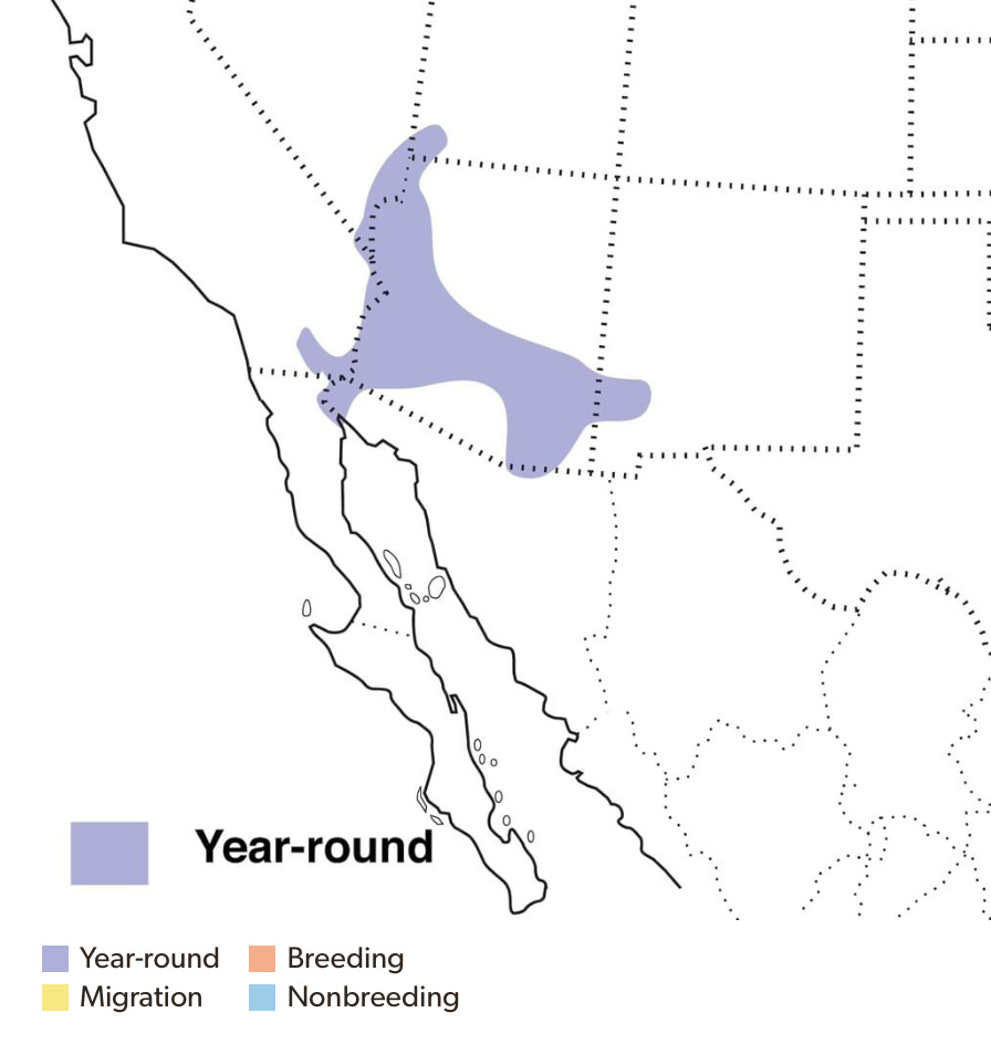 Screenshot 2025-05-18 at 2.44.46 PM.png Screenshot 2025-05-18 at 2.44.46 PM.png