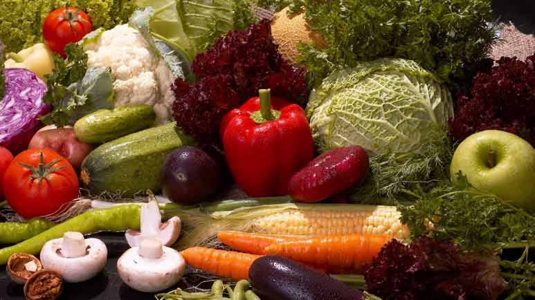 fermented foods anticancer menu