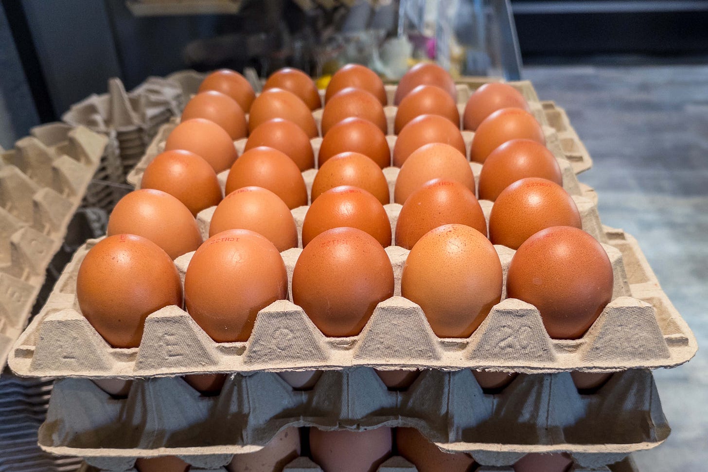 Eierschachtel mit 30 braunen Eiern.