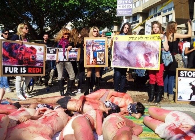 Figure 2 Wordwide Fur Free Friday (WFFF) Jane et Mitzi , Tel Aviv 2011. Image Ronen Machleb