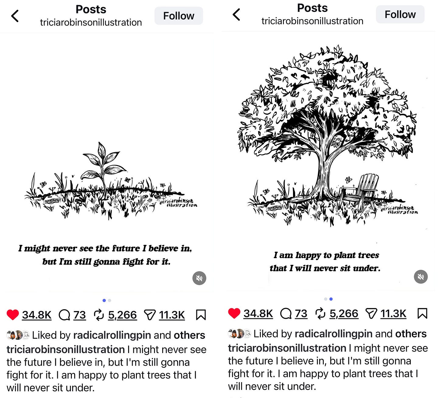 Images by Tricia Robinson, @triciarobinsonillustration.