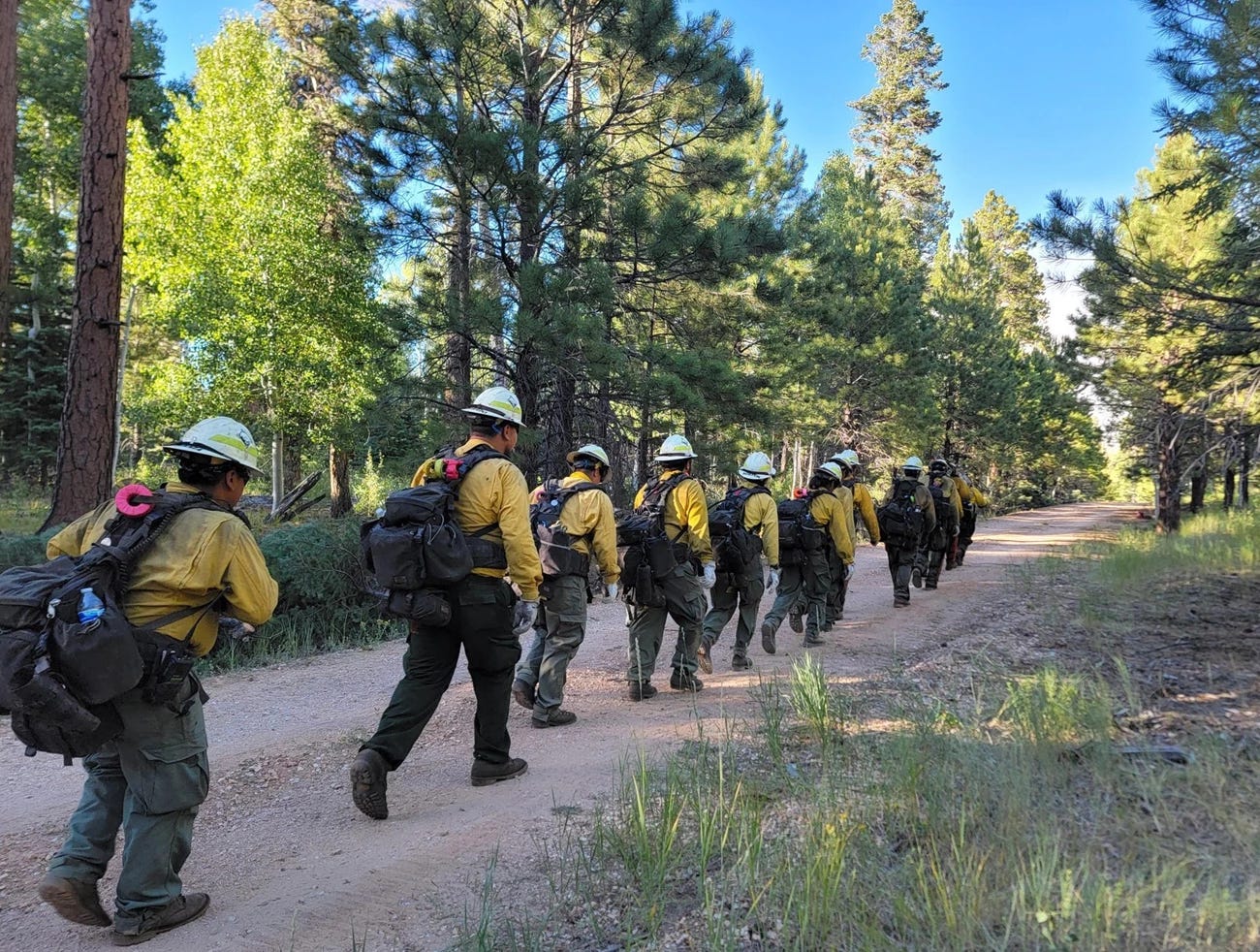 Dragon Bravo Rio Grand Hand Crew-reduced A line of firefighters walk with handtools down a service road in a forest