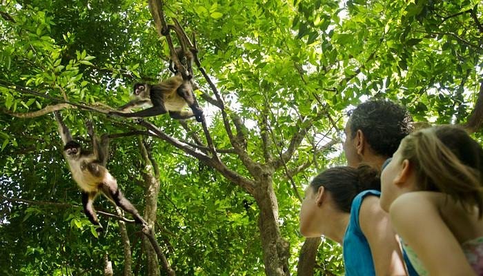 Croco Cun Zoo (2025) - All You Need to Know BEFORE You Go ...