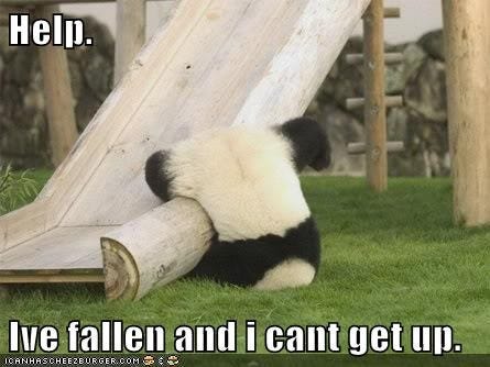 Help! I've Fallen and I Can't Get Up! – Zoomer | lindaseccaspina