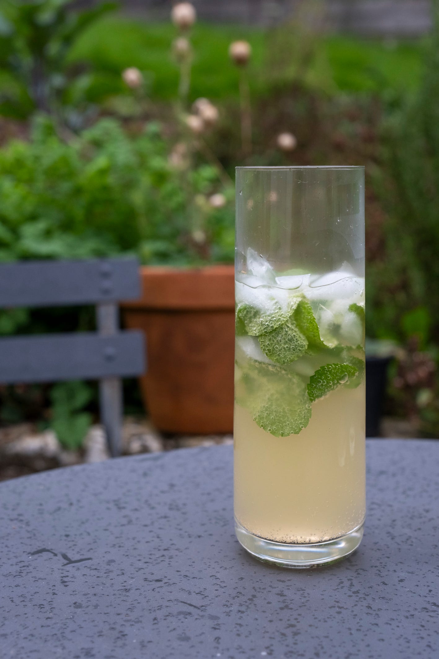 Autumn ginger apple mojito