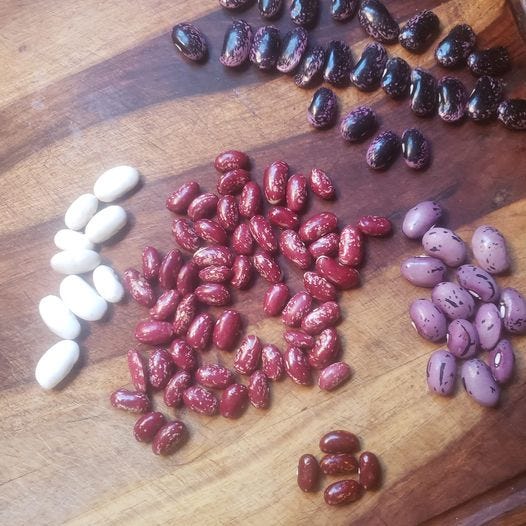May be an image of baked beans