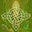Magick & Witchcraft Academy's avatar