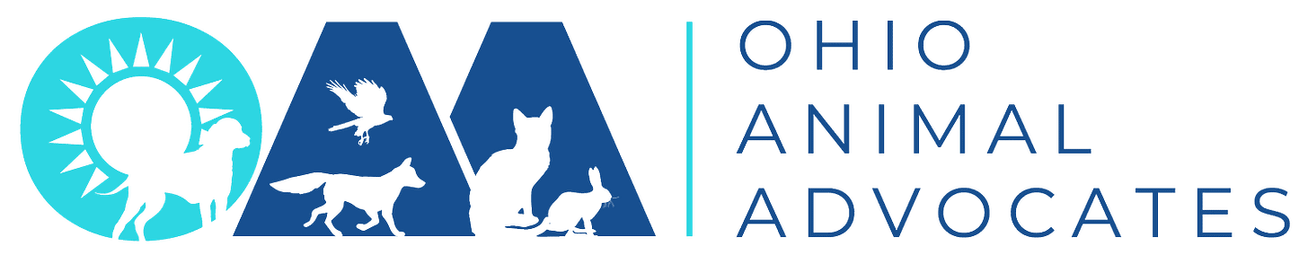 Ohio Animal Advocates