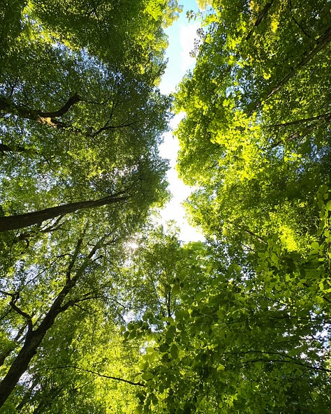 1200 acre park just short walk from hotel